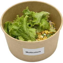 Salade multicolore végétarien