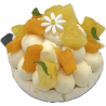 Pavlova